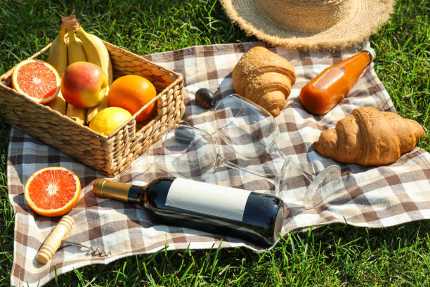 istock Picnic composition with wine and food against green grass. Empty 1171647756