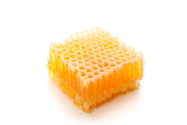 istock Piece of honeycomb isolated on white background, close up 1171648090