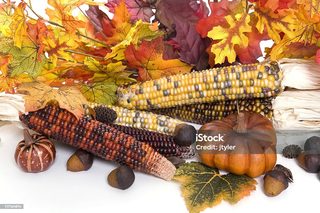 秋の配列 - インディアンコーンのロイヤリティフリーストックフォト