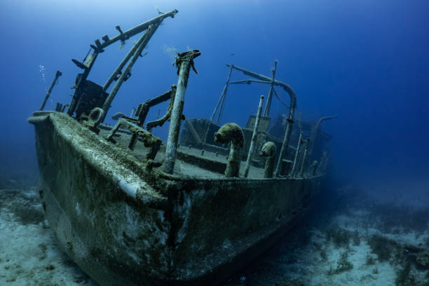 istock scuba diving ship wreck photo 1171648197