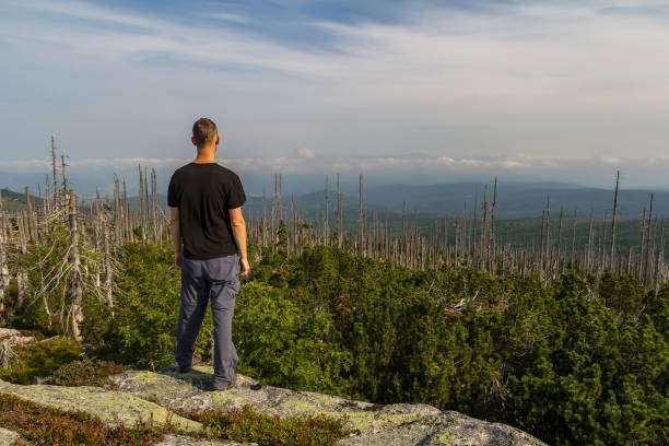 młody turysta stojący na szczycie góry, sumava national park i las bawarski, czechy i niemcy - 2589 zdjęcia i obrazy z banku zdjęć