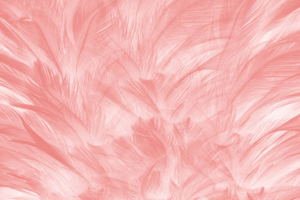 istock Pink vintage color trends feather pattern texture background 1171648862