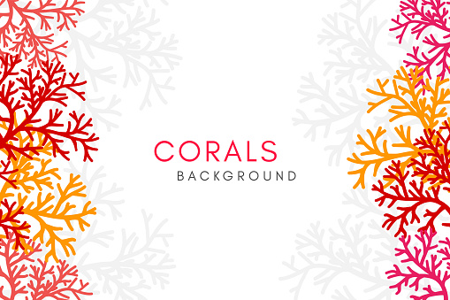 Corals reef background with vertical borders. Vector banner with underwater aquarium decoration elements.