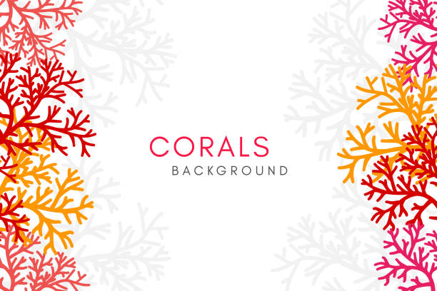 Corals reef background with vertical borders. Vector banner with underwater aquarium decoration elements. Corals reef background with vertical borders. Vector banner with underwater aquarium decoration elements. coral cnidarian stock illustrations