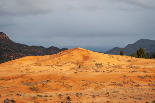 Coral Pink Sand Dunes