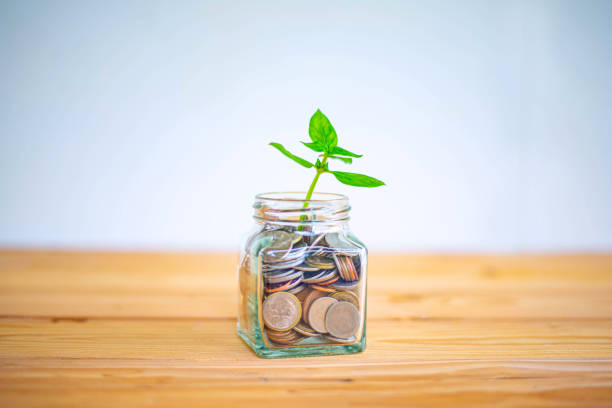 istock Money saving ideas, Tree grow on coins is like saving and investing, making us profitable. 1171652104
