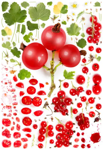 Large collection of red currant fruit pieces, slices and leaves isolated on white background. Top view. Seamless abstract pattern.