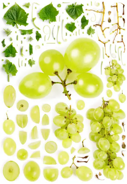 Large collection of grape wine fruit pieces, slices and leaves isolated on white background. Top view. Seamless abstract pattern.