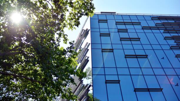 istock Modern office building with reflection in windows of building 1171655573