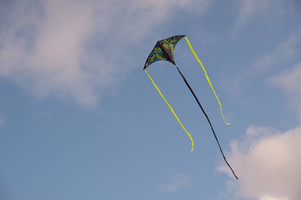 istock Kite flying against the blue sky 1171656273