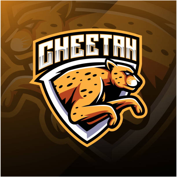 geparden sport maskottchen logo-design - leopard jaguar animal speed stock-grafiken, -clipart, -cartoons und -symbole