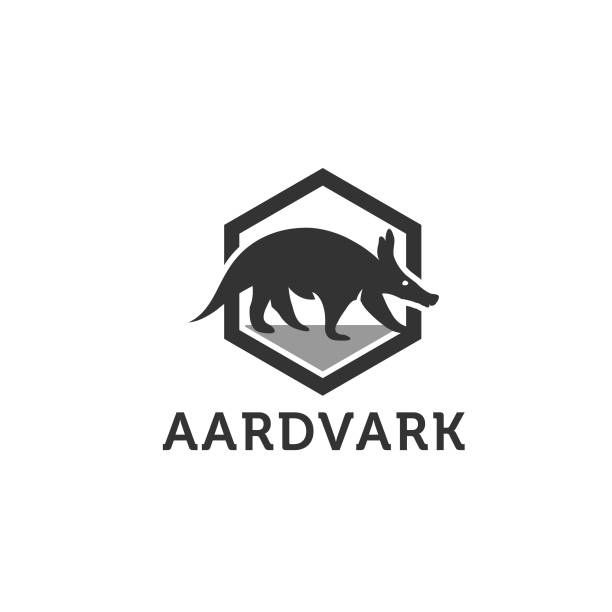 illustrazioni stock, clip art, cartoni animati e icone di tendenza di aardvark animale schizzo incisione illustrazione vettoriale. - oritteropo