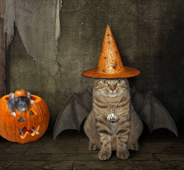 Cat with a rat on Halloween 2