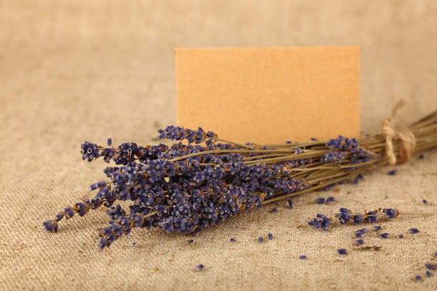 istock Close-Up Of Lavender And Envelope On Table 1171666040