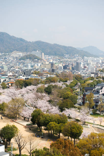 istock Spring Park in Kobe, Hyogo 1171670869