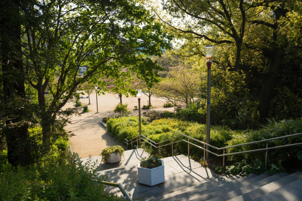 istock Utsubo Park in the morning 1171671509