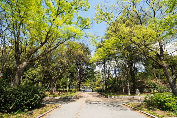 istock Utsubo Park in the morning 1171671823