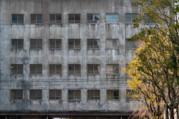 Old concrete buildings and trees