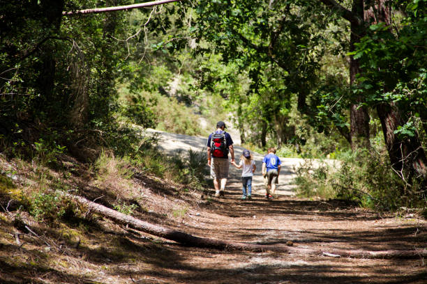 istock A family weekend in the forest 1171674735