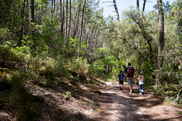 istock A family weekend in the forest 1171674746