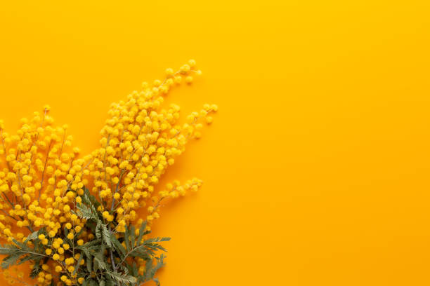 istock Yellow flower pattern on a yellow background.  Spring greeting card. 1171674751