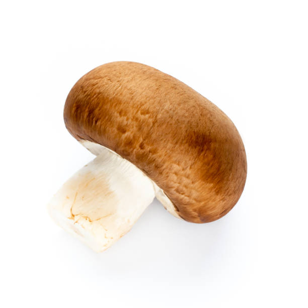 istock Fresh champignon mushrooms isolated on white. 1171674925