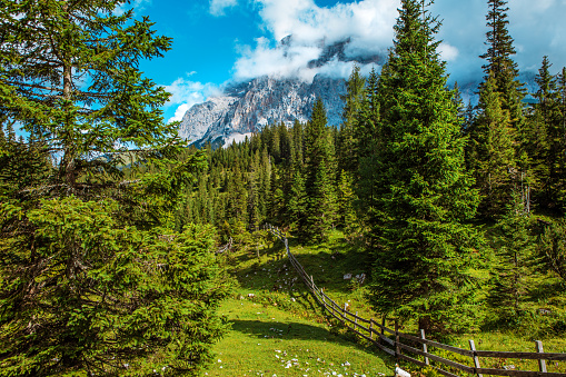 Austrian Mountain View of the European Alps