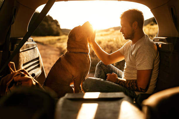 istock We are travelers 1171681584