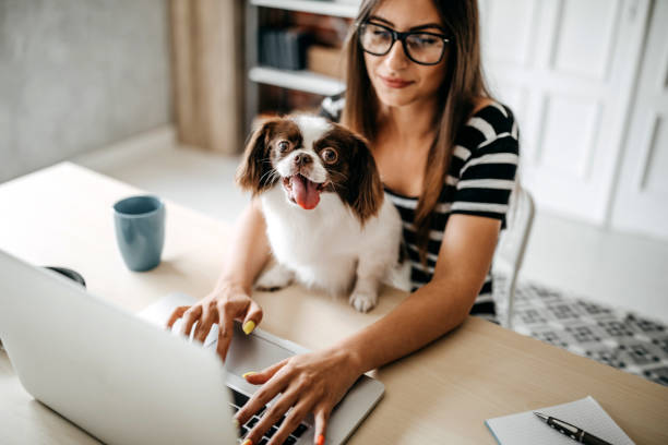 istock You make my job easyer 1171682016