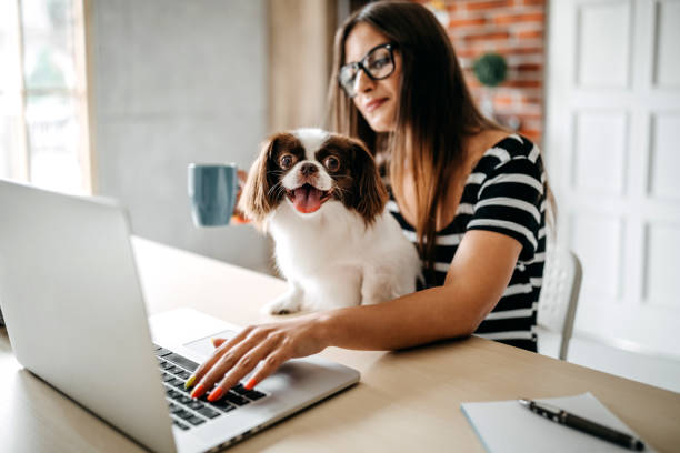 istock You make my job easyer 1171682017