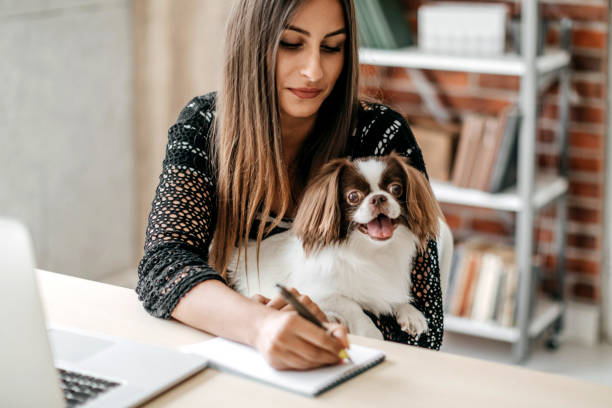 istock You make my job easyer 1171682018