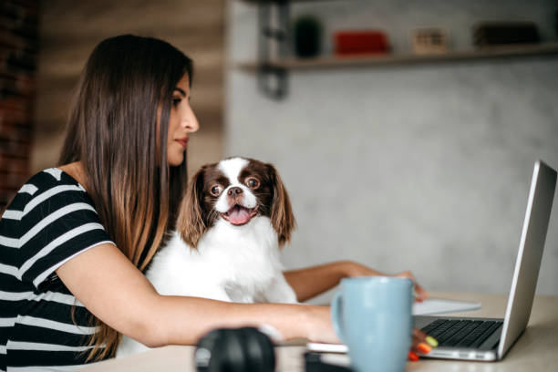 istock You make my job easyer 1171682019
