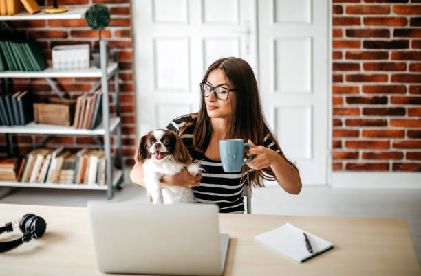 istock My best friend on work with me 1171682026