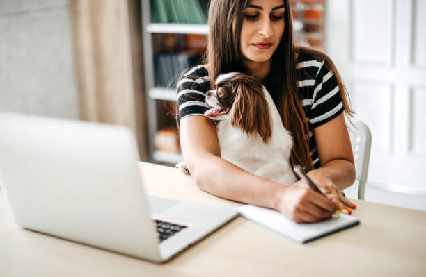 istock Cute dog in office 1171682038