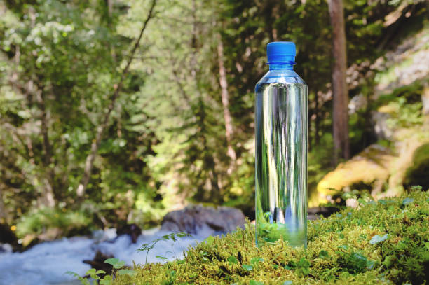 istock Plastic bottle blue cap with fresh drinking water on a background of green forest stands on a stone with moss. 1171687585