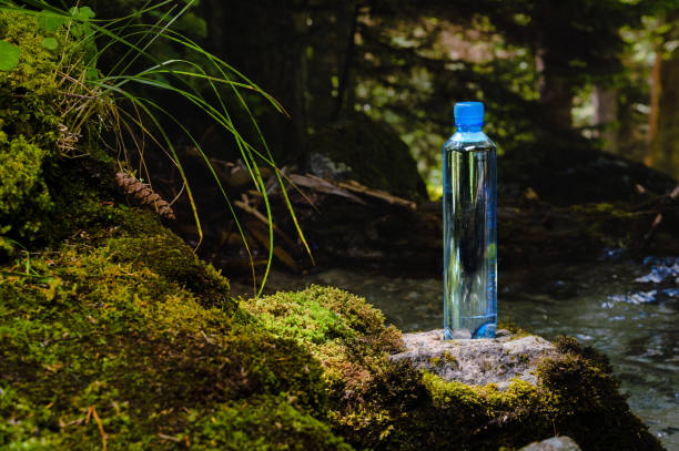 istock Plastic bottle blue cap with fresh drinking water on a background of green forest stands on a stone with moss. 1171688318