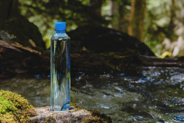 istock Plastic bottle blue cap with fresh drinking water on a background of green forest stands on a stone with moss. 1171688353