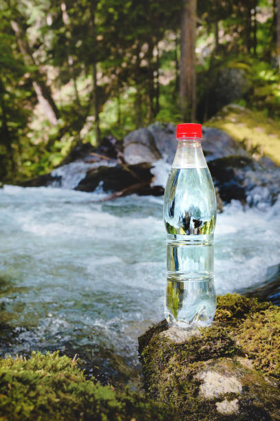 istock A plastic bottle with a red cap with fresh drinking water against a background of green forest 1171688683
