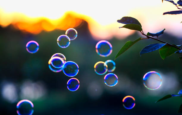 istock beautiful shiny soap bubbles flying over sunset sky in a bright summer Park 1171688705