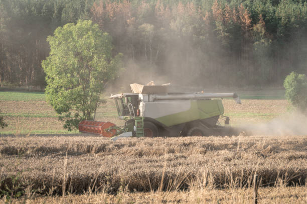 istock Combine harvester harvesting on wheat field 1171688763