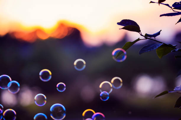 istock beautiful shiny soap bubbles flying over sunset purple bright sky in summer Park 1171688868