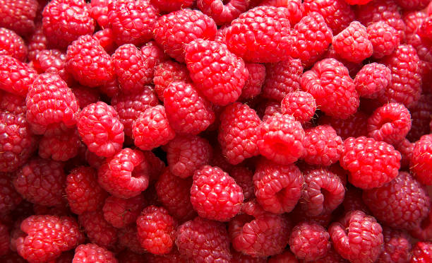 istock Background of fresh ripe raspberries. 1171689516