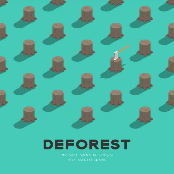 Tree stump with ax 3D isometric pattern, Deforestation concept poster and social banner square design illustration isolated on green background with copy space, vector eps 10 Tree stump with ax 3D isometric pattern, Deforestation concept poster and social banner square design illustration isolated on green background with copy space, vector eps 10 deforestation stock illustrations