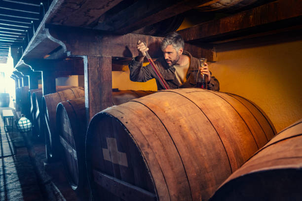 Winemaker checking wine test tube Winemaker expertise checking wine test tube in old oak barrels winery cellar man wearing a barrel stock pictures, royalty-free photos & images