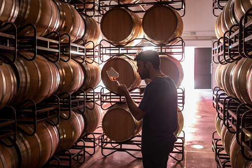 Young winemaker tasting wine at cellar winery in wine glass with oak barrels