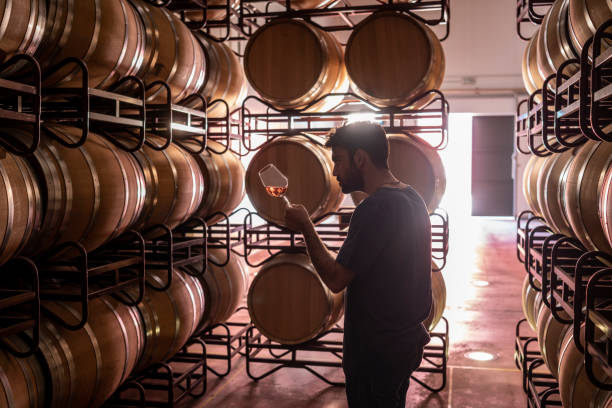 Young winemaker tasting wine at cellar Young winemaker tasting wine at cellar winery in wine glass with oak barrels man wearing a barrel stock pictures, royalty-free photos & images