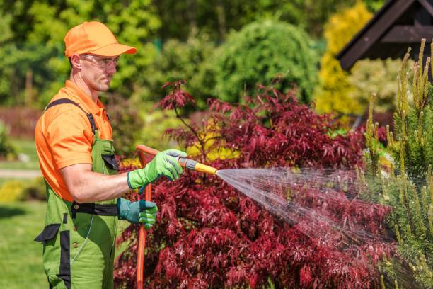 istock Gardener with Garden Hose 1171693416