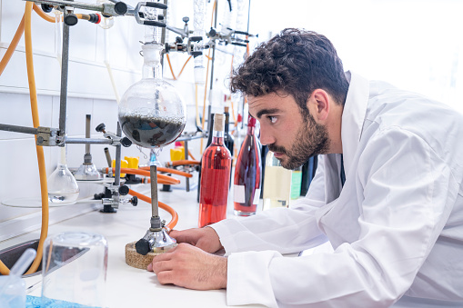 Chemical quality control in wine cellar laboratory young beard man