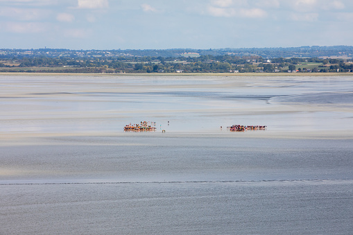 Group of hikers in the bay at low tide. Hike in the bay with a knowledgeable guide. Mont Saint-Michel , Normandy, France