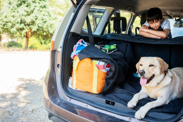 istock Little boy with her dog in car trunk 1171693729